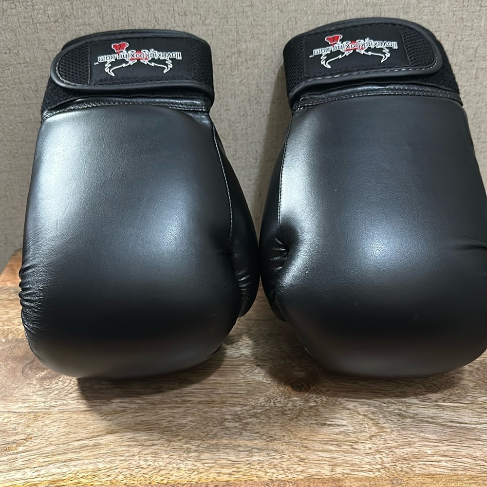 Century 12oz boxing gloves.